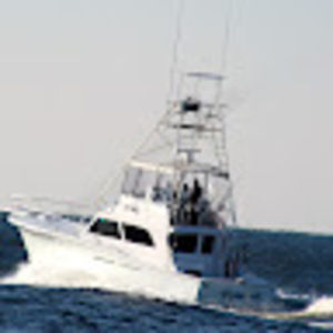 Meet your Posher, Dylan